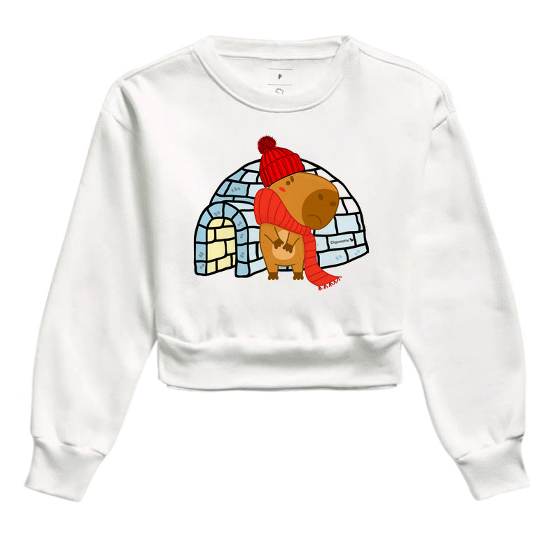 MOLETOM CROPPED CAPY COLD