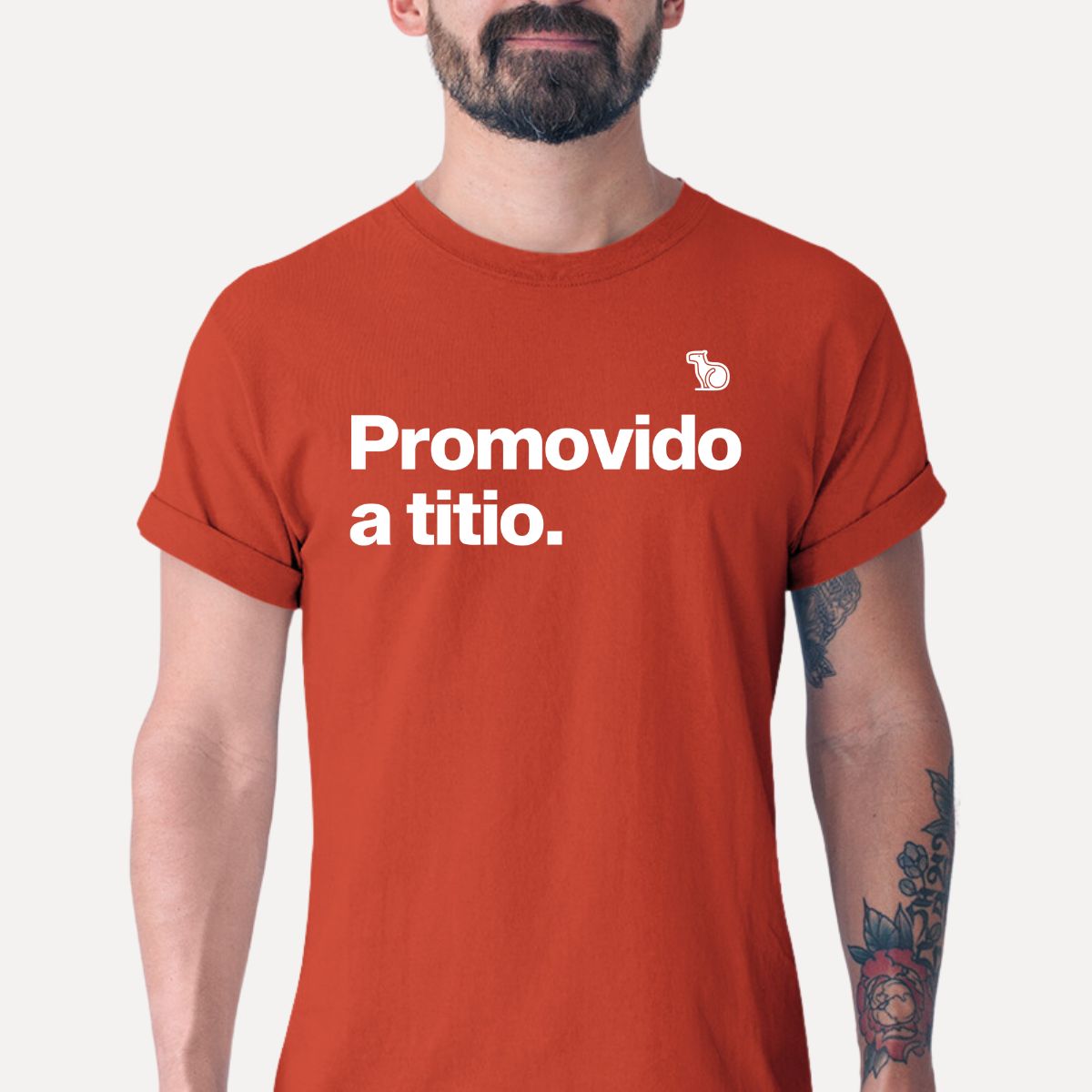 CAMISETA PROMOVIDO A TITIO