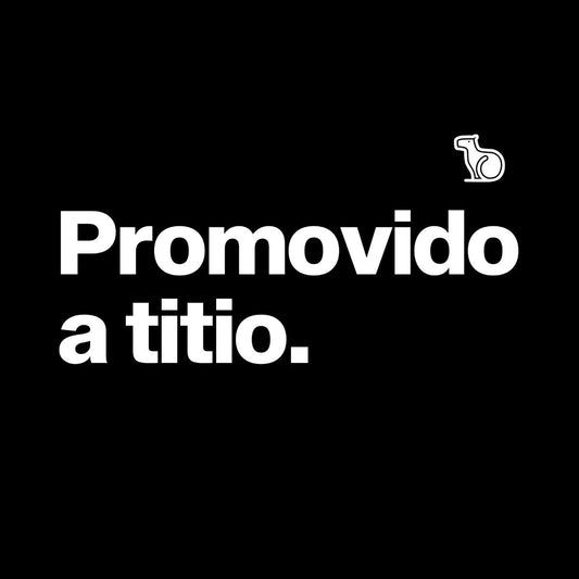 CAMISETA PROMOVIDO A TITIO