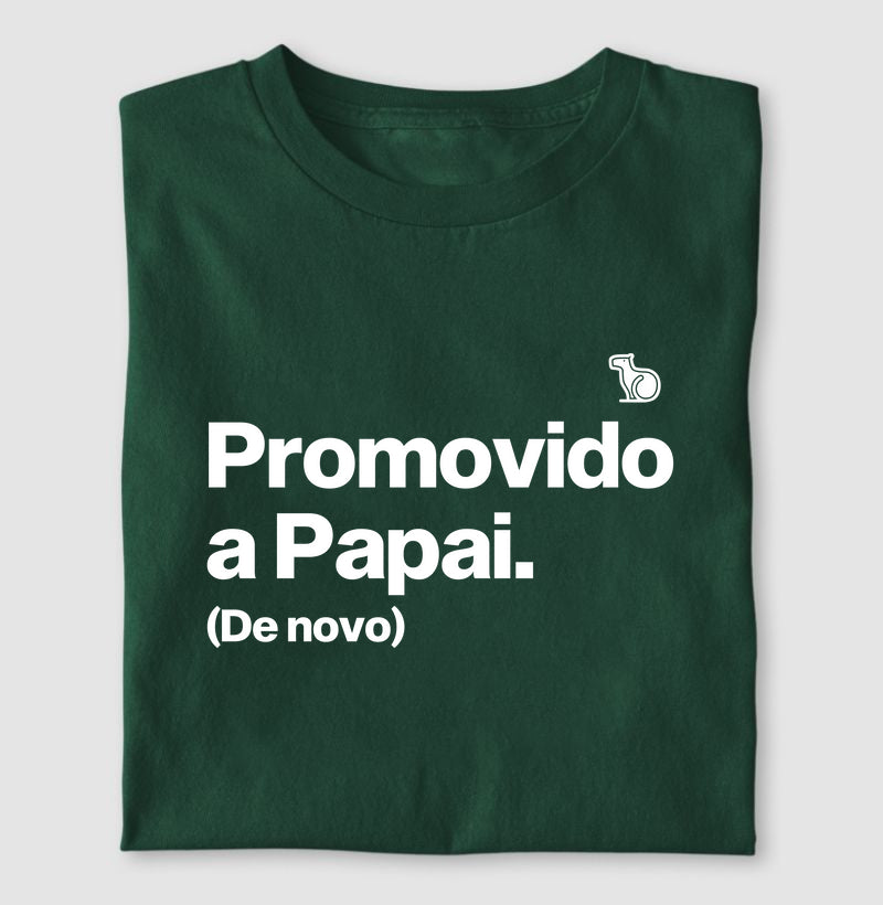 CAMISETA PROMOVIDO A PAPAI (DE NOVO)