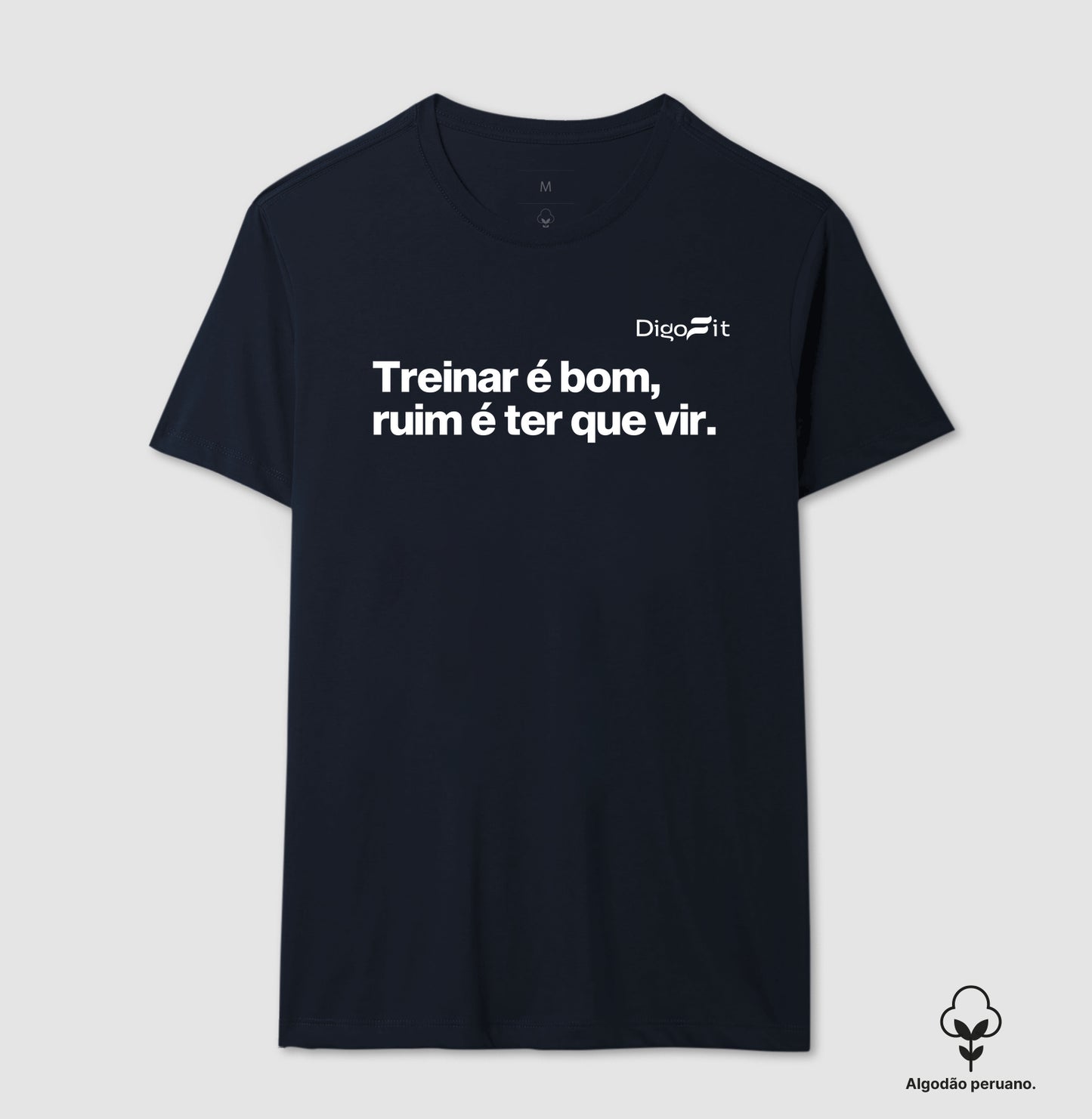 CAMISETA ALGODÃO PERUANO ACADEMIA TREINAR É BOM RUIM É TER QUE VIR