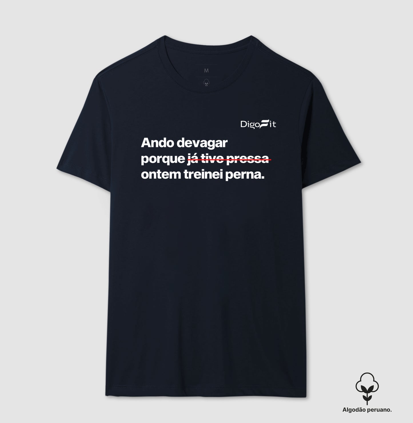 CAMISETA ALGODÃO PERUANO ACADEMIA ONTEM EU TREINEI PERNA