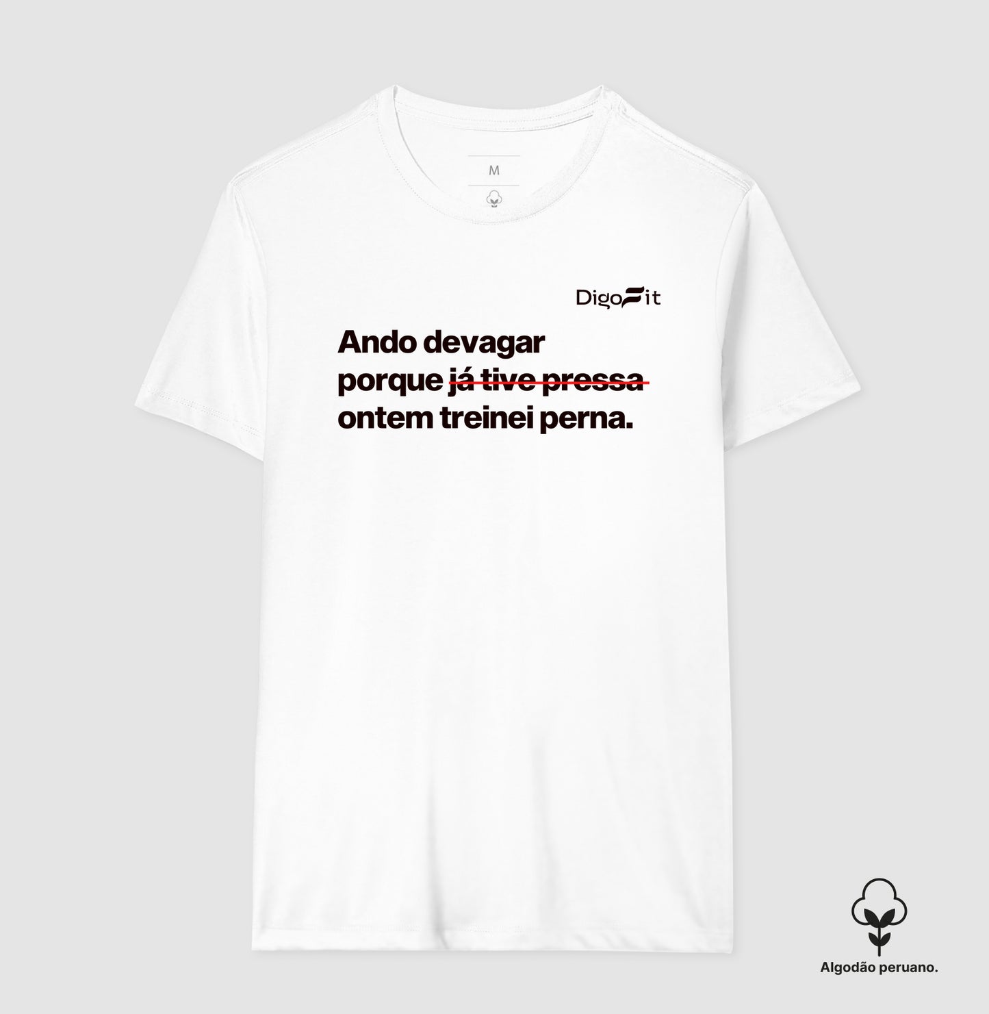 CAMISETA ALGODÃO PERUANO ACADEMIA ONTEM EU TREINEI PERNA