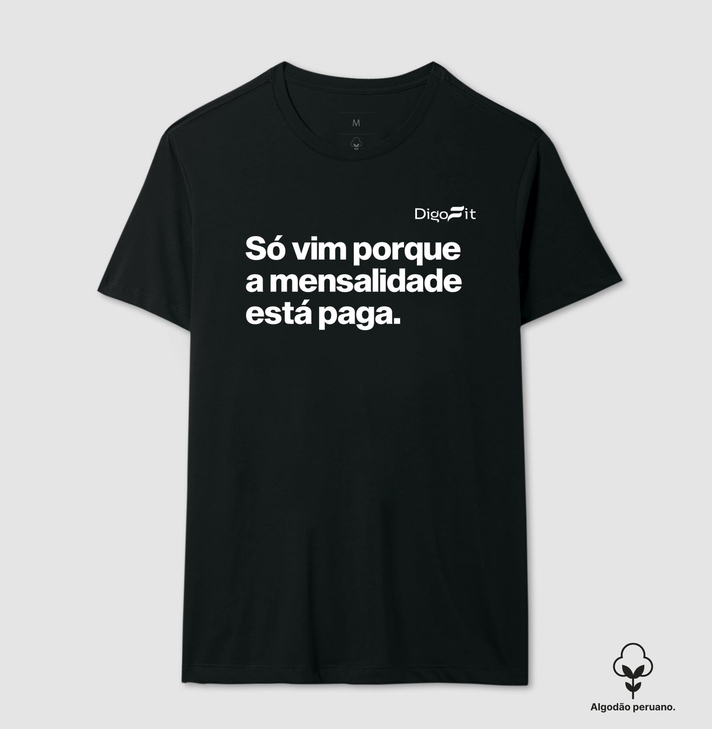 CAMISETA ALGODÃO PERUANO ACADEMIA SÓ VIM PORQUE A MENSALIDADE ESTÁ PAGA