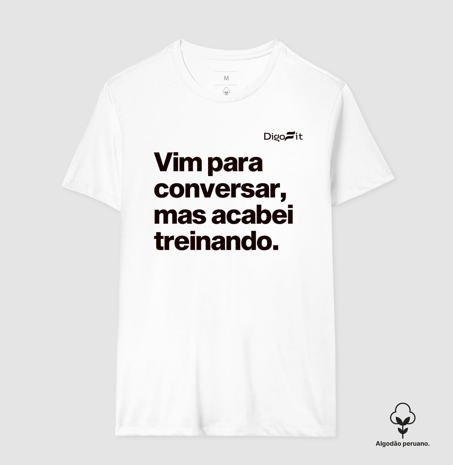 CAMISETA ALGODÃO PERUANO ACADEMIA VIM PARA CONVERSAR