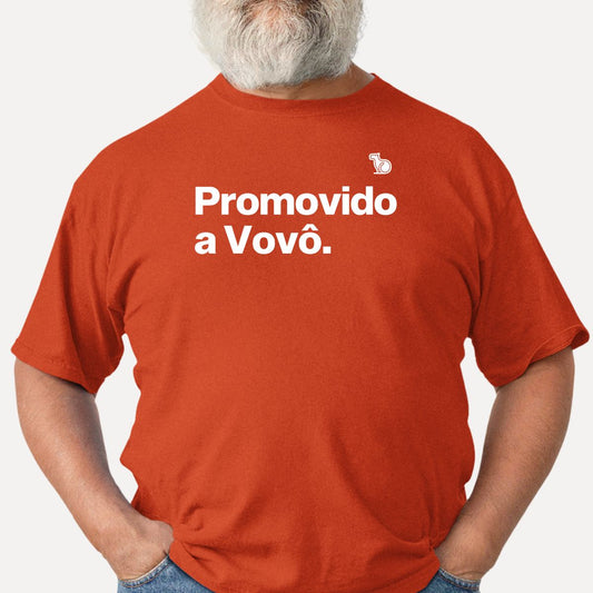 CAMISETA PROMOVIDO A VOVÔ