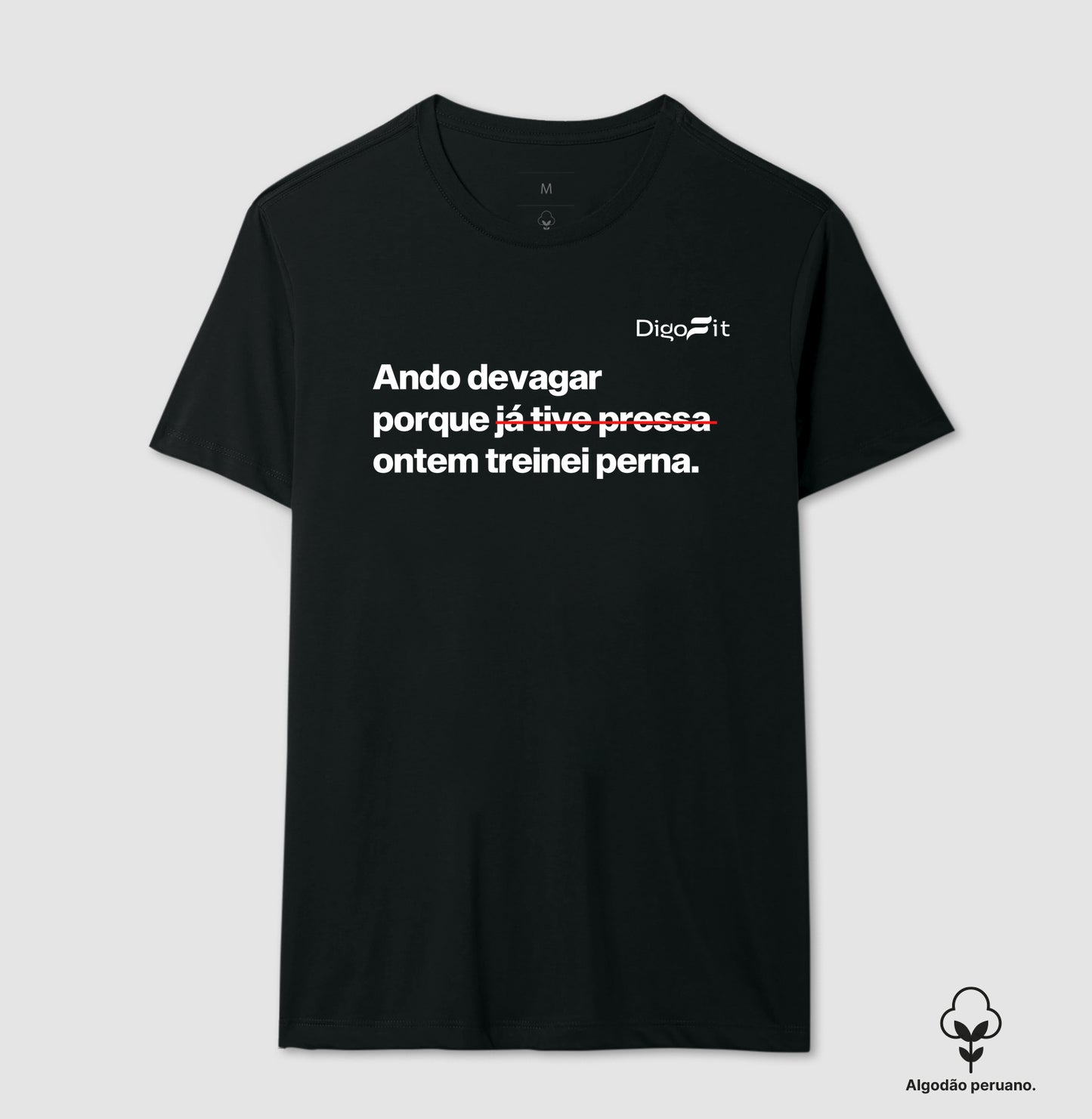CAMISETA ALGODÃO PERUANO ACADEMIA ONTEM EU TREINEI PERNA