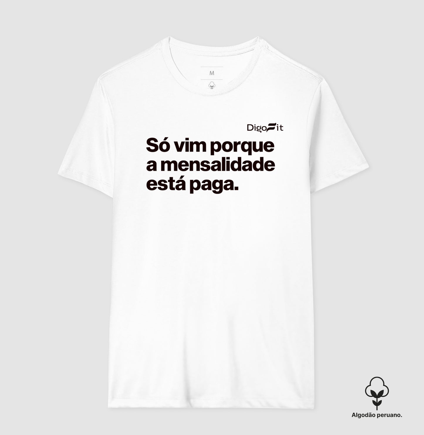 CAMISETA ALGODÃO PERUANO ACADEMIA SÓ VIM PORQUE A MENSALIDADE ESTÁ PAGA