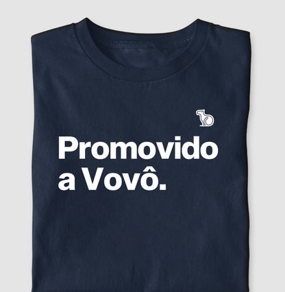 CAMISETA PROMOVIDO A VOVÔ