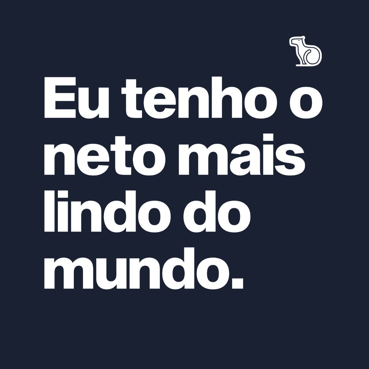 CAMISETA EU TENHO O NETO MAIS LINDO