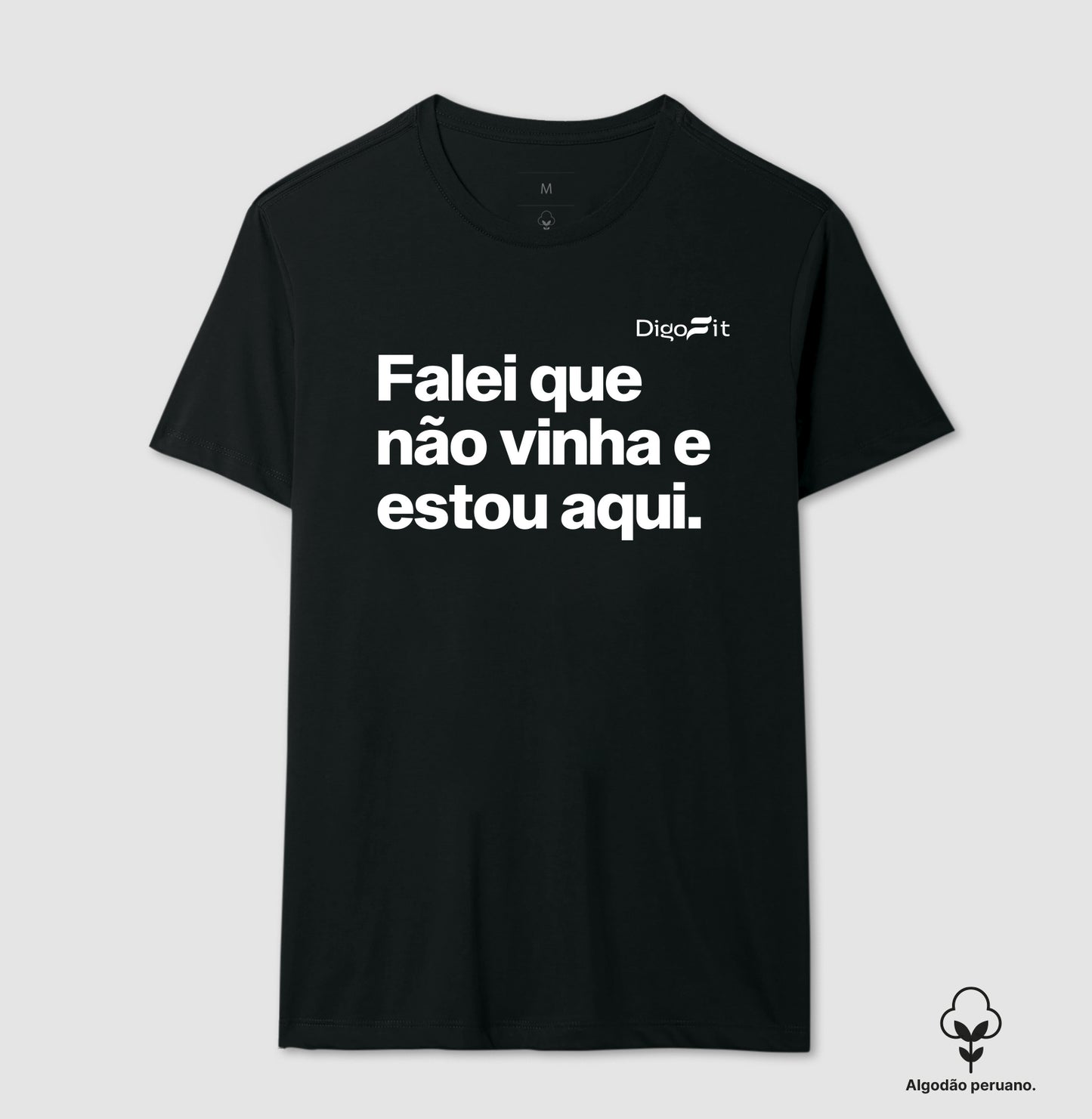 CAMISETA ALGODÃO PERUANO ACADEMIA FALEI QUE NÃO VINHA E ESTOU AQUI
